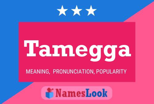 Tamegga Name Poster