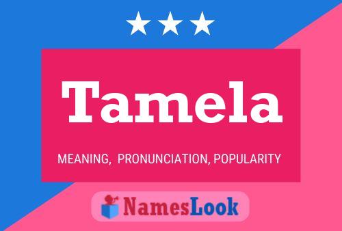 Tamela Name Poster