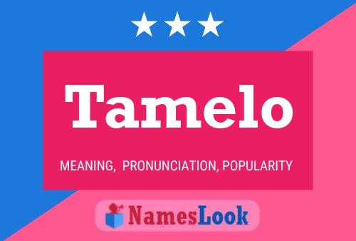 Tamelo Name Poster