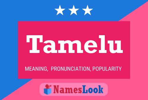 Tamelu Name Poster