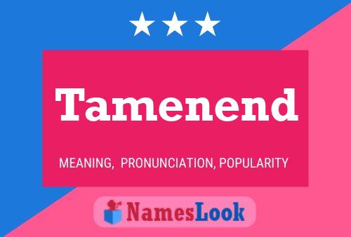 Tamenend Name Poster