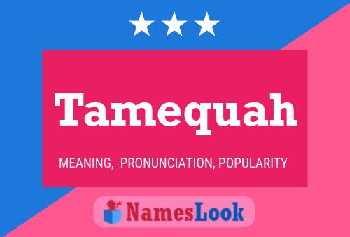 Tamequah Name Poster