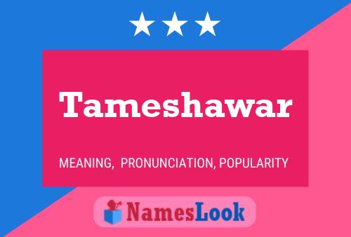 Tameshawar Name Poster