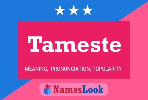 Tameste Name Poster