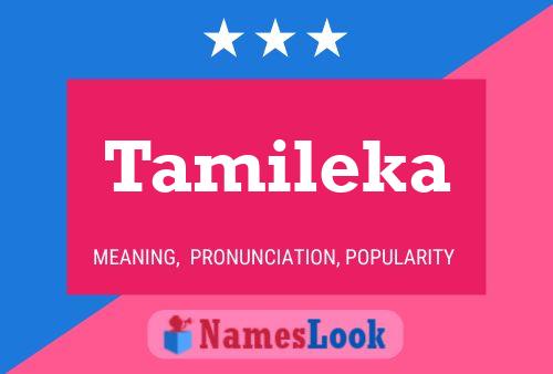 Tamileka Name Poster