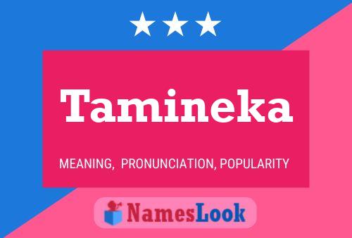 Tamineka Name Poster