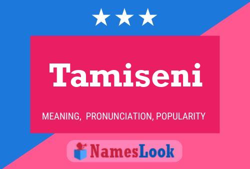 Tamiseni Name Poster