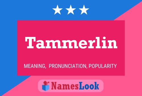 Tammerlin Name Poster