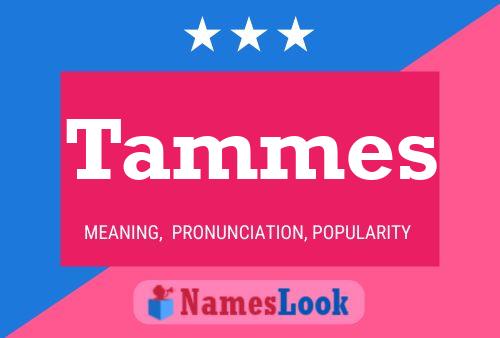 Tammes Name Poster