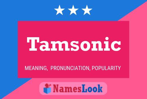 Tamsonic Name Poster