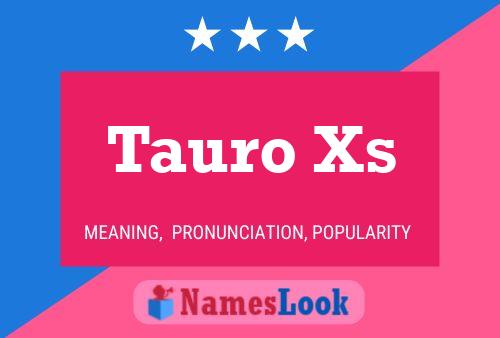 Tauro Xs Name Poster