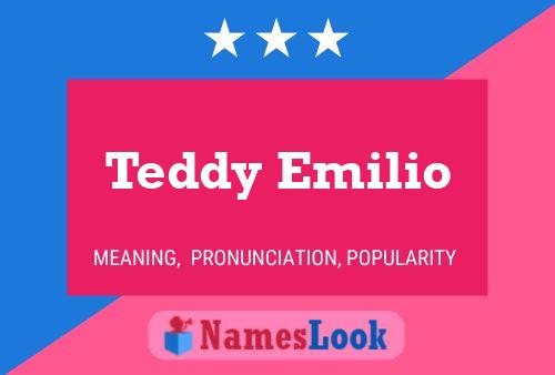 Teddy Emilio Name Poster