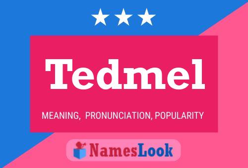 Tedmel Name Poster