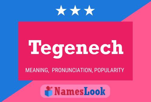 Tegenech Name Poster