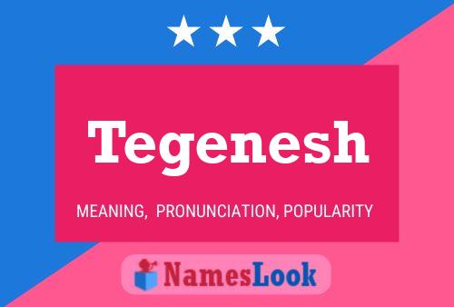 Tegenesh Name Poster