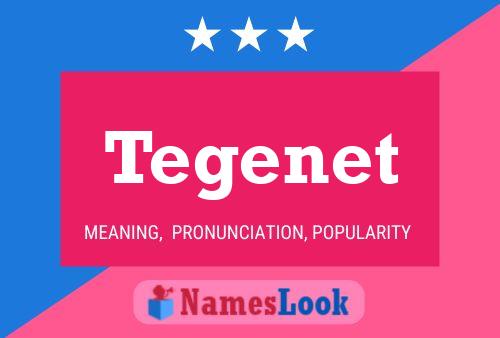 Tegenet Name Poster