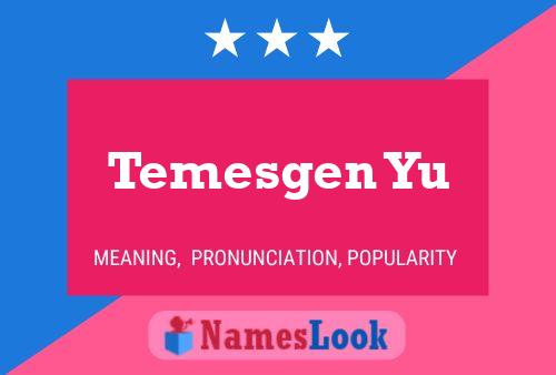 Temesgen Yu Name Poster