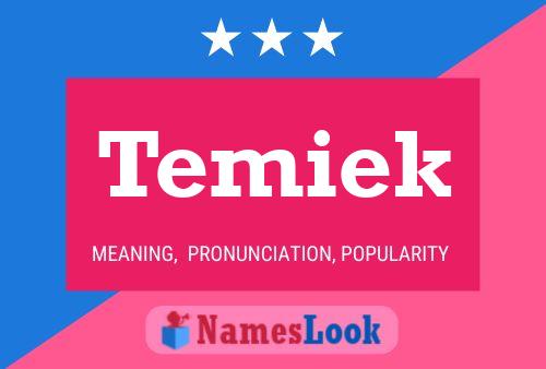 Temiek Name Poster