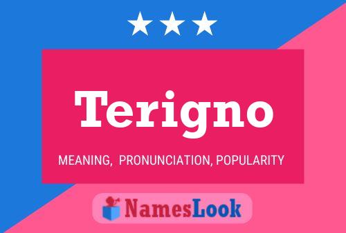 Terigno Name Poster