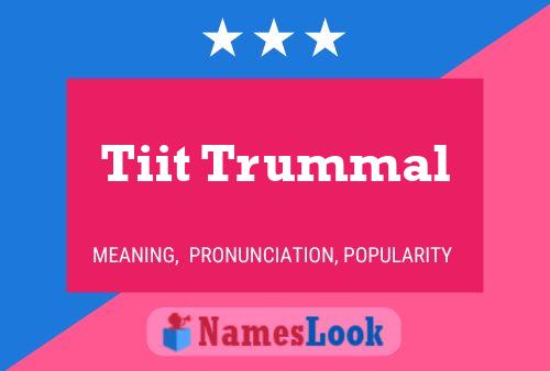 Tiit Trummal Name Poster