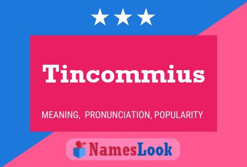 Tincommius Name Poster