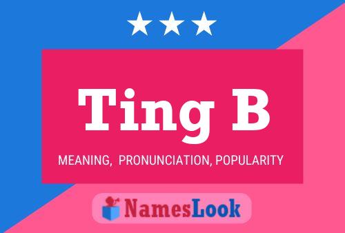 Ting B Name Poster