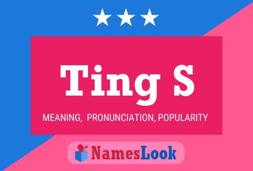 Ting S Name Poster