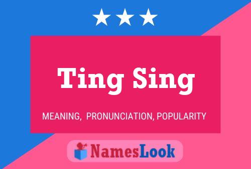 Ting Sing Name Poster