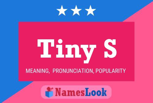 Tiny S Name Poster