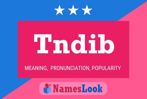 Tndib Name Poster