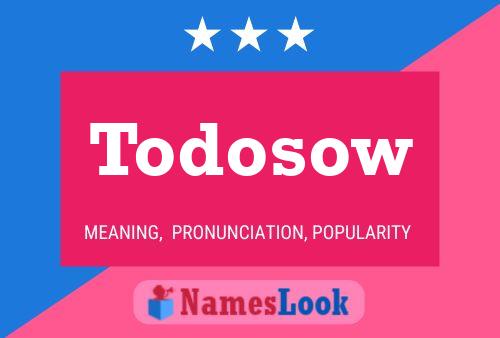 Todosow Name Poster