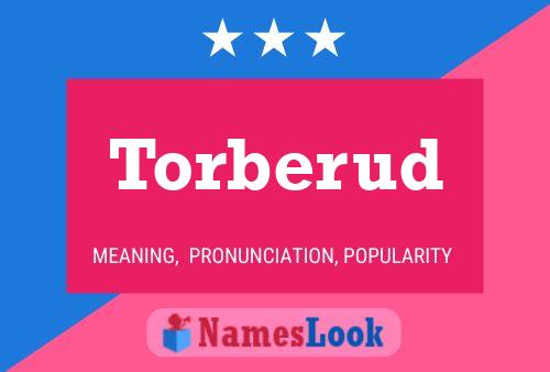 Torberud Name Poster