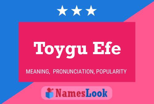 Toygu Efe Name Poster