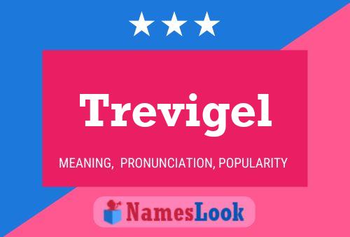 Trevigel Name Poster