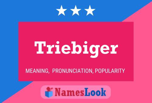 Triebiger Name Poster