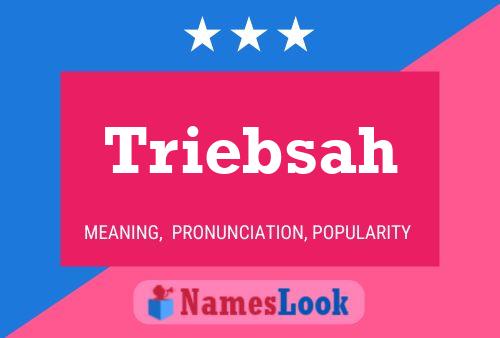 Triebsah Name Poster