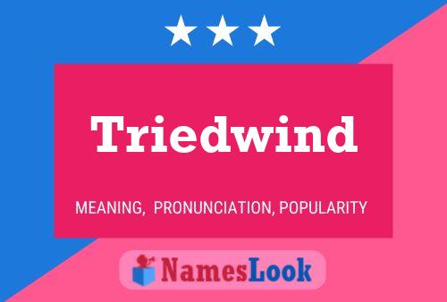 Triedwind Name Poster