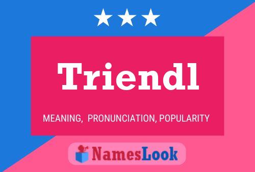 Triendl Name Poster