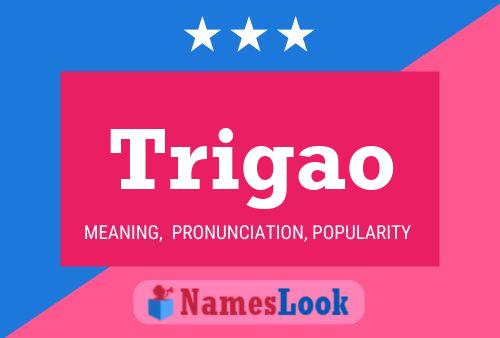 Trigao Name Poster