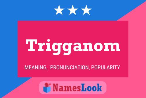 Trigganom Name Poster