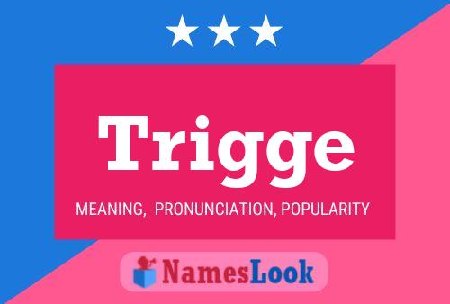 Trigge Name Poster