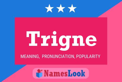 Trigne Name Poster