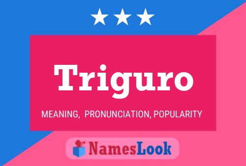 Triguro Name Poster