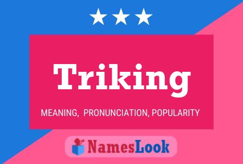 Triking Name Poster