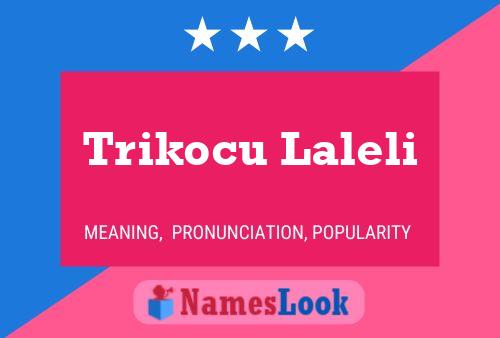 Trikocu Laleli Name Poster