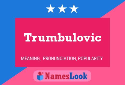 Trumbulovic Name Poster