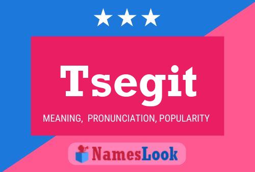 Tsegit Name Poster