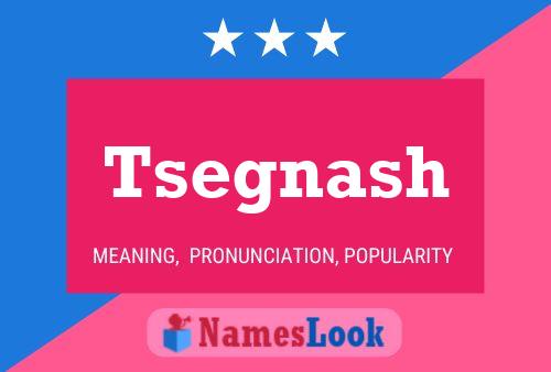 Tsegnash Name Poster