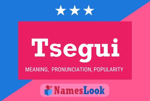 Tsegui Name Poster