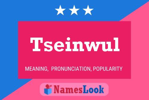 Tseinwul Name Poster